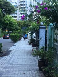Emerald Hill Road (D9), Terrace #610400891
